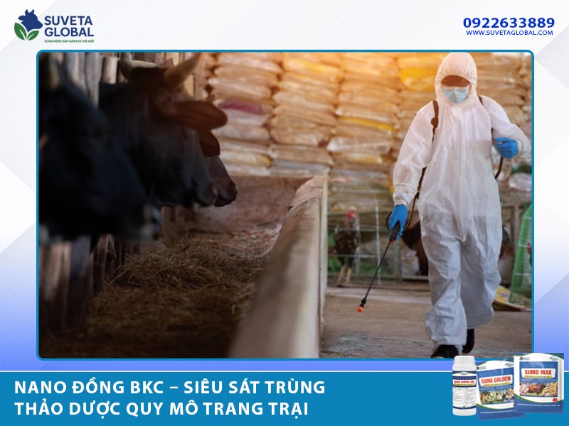 NANO ĐỒNG BKC – Siêu sát trùng thảo dược quy mô trang trại